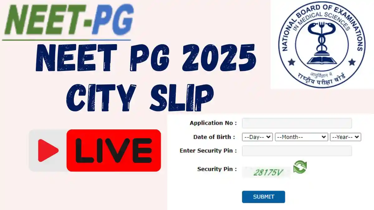 NEET PG 2025 City Slip