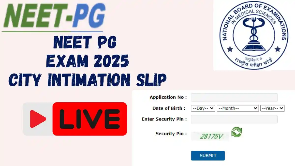 NEET PG Exam 2025 City Intimation Slip